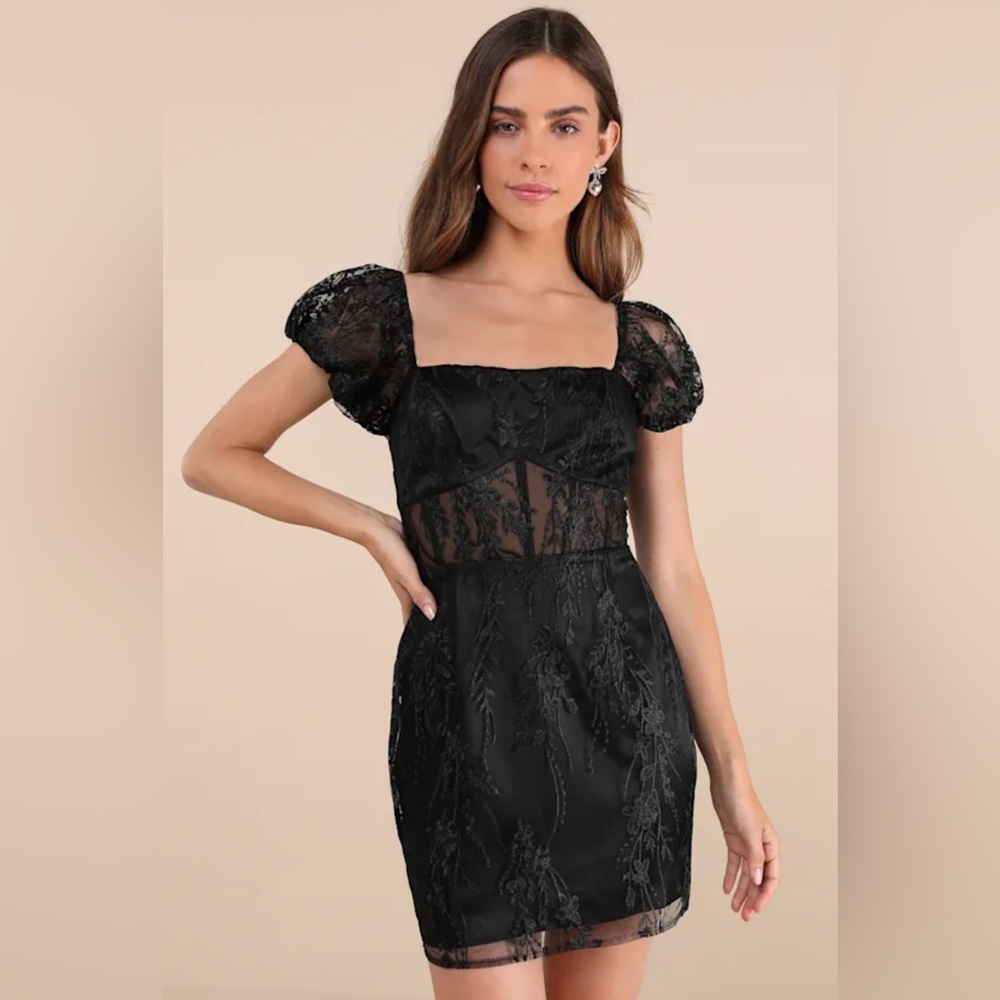 NWT Lulus Seriously Cute Black Embroidered Mesh Puff Sleeve Mini Dress - Picture 2 of 8